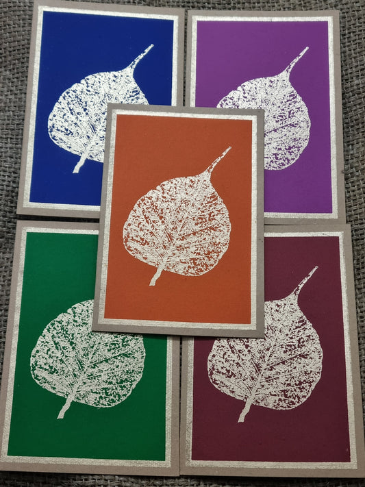 Fossil Leaf Cards – 5 Assorted Colours