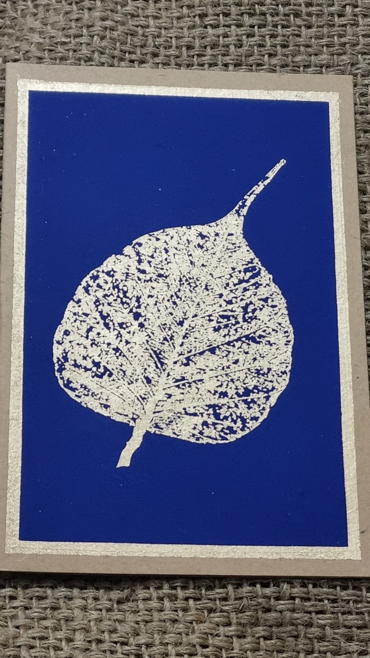Fossil Leaf Cards – 5 Assorted Colours