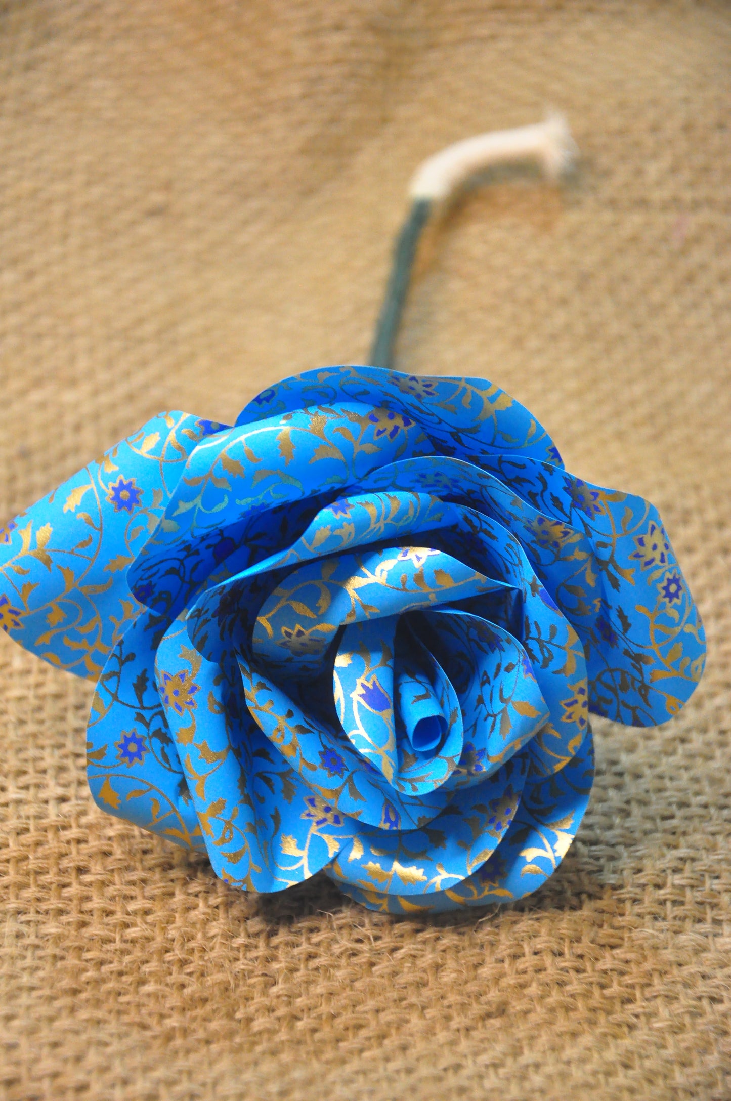 Rose Flower