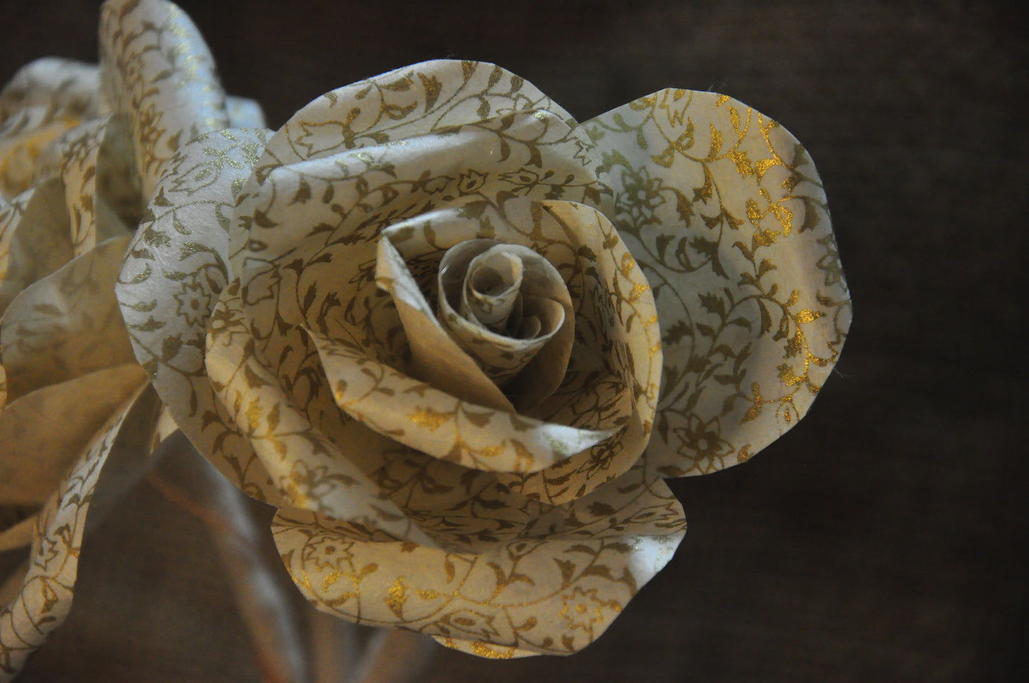 Rose Flower