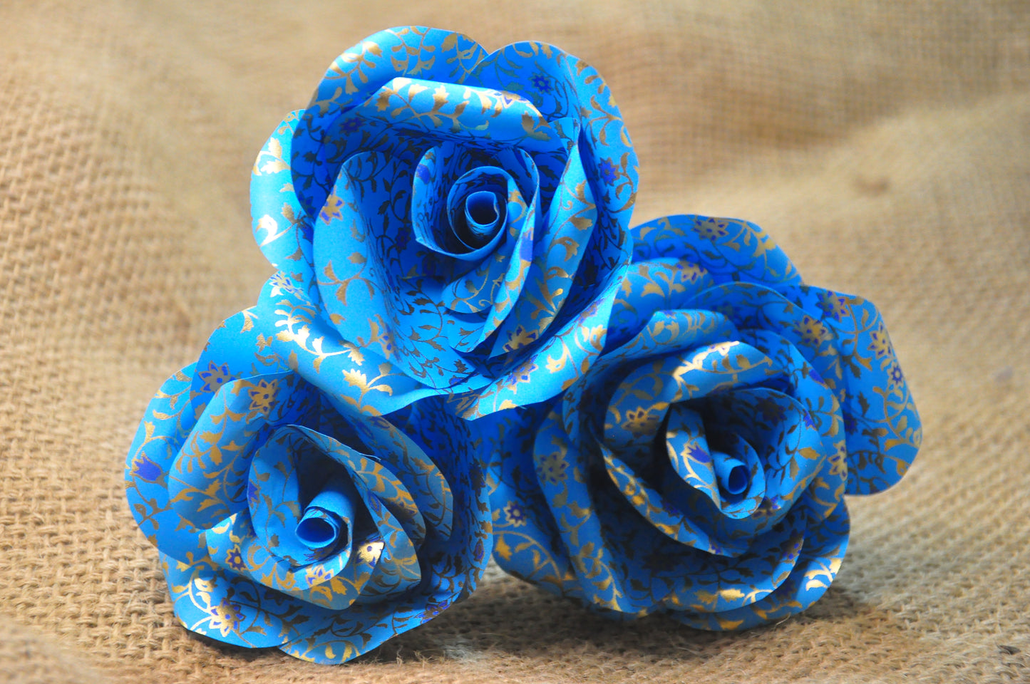 Rose Flower