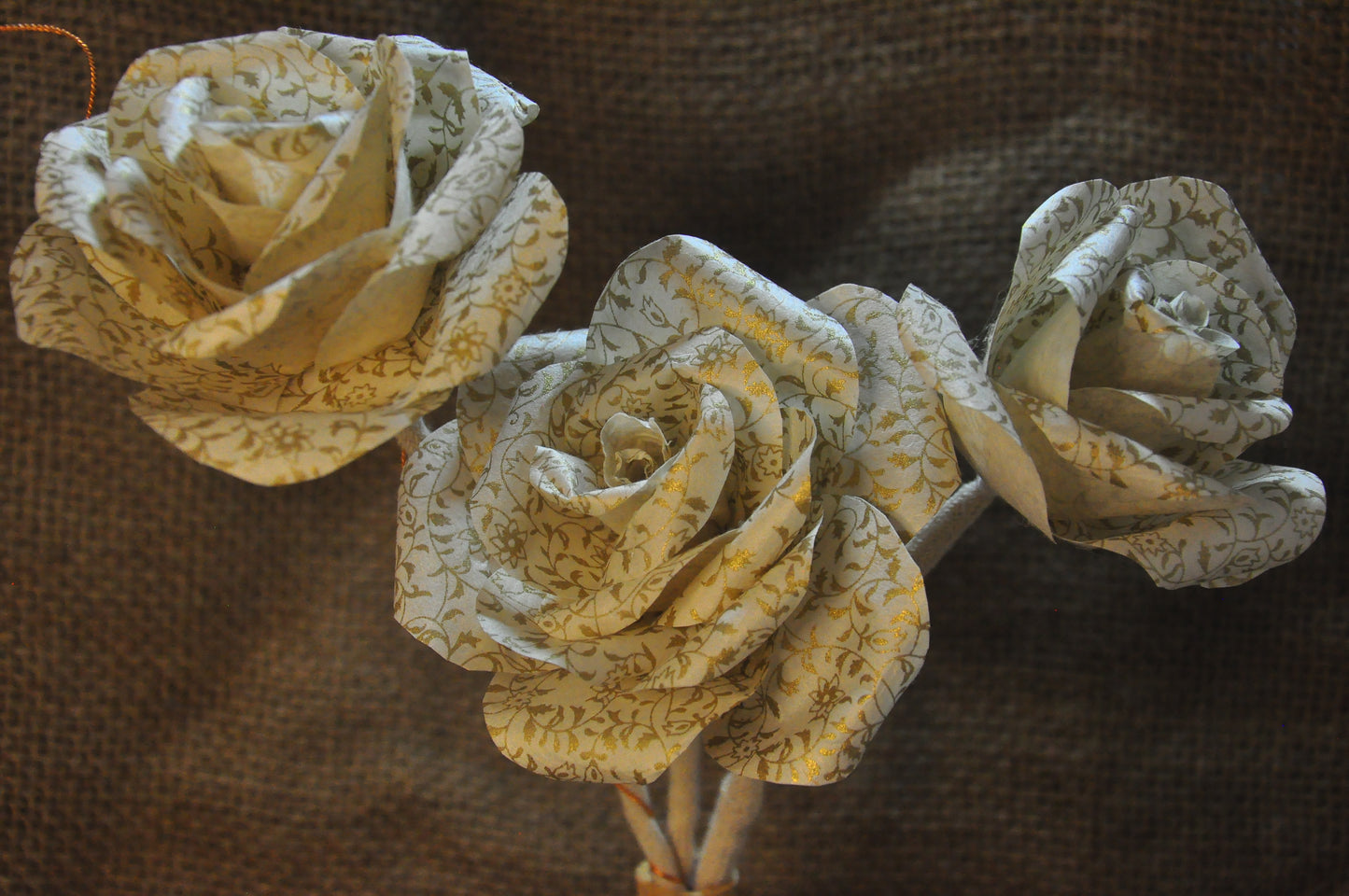 Rose Flower