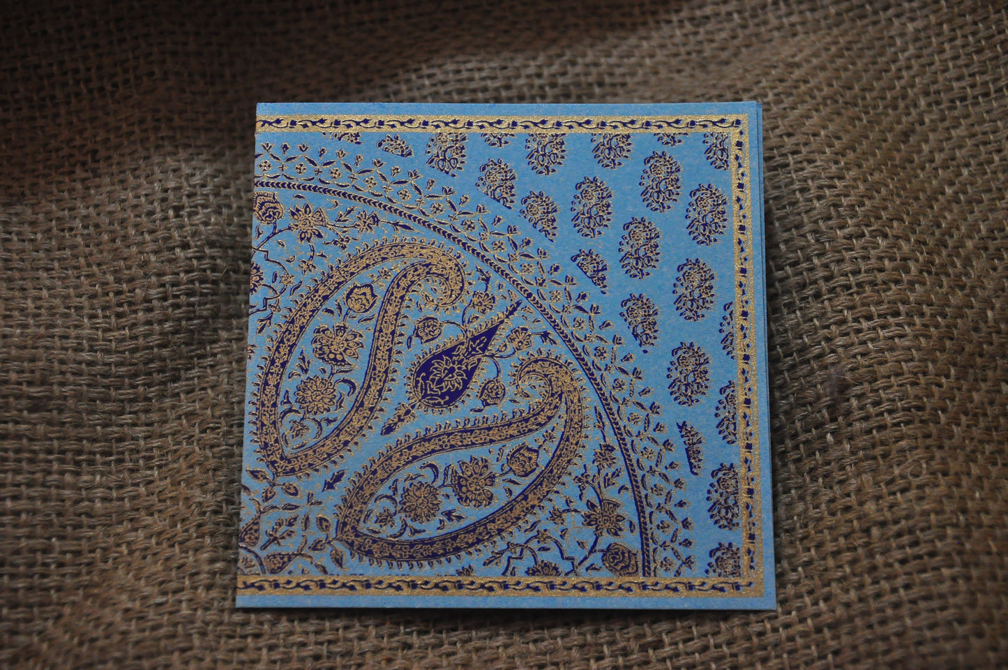 Saree Border Cards - 5 Assorted colours
